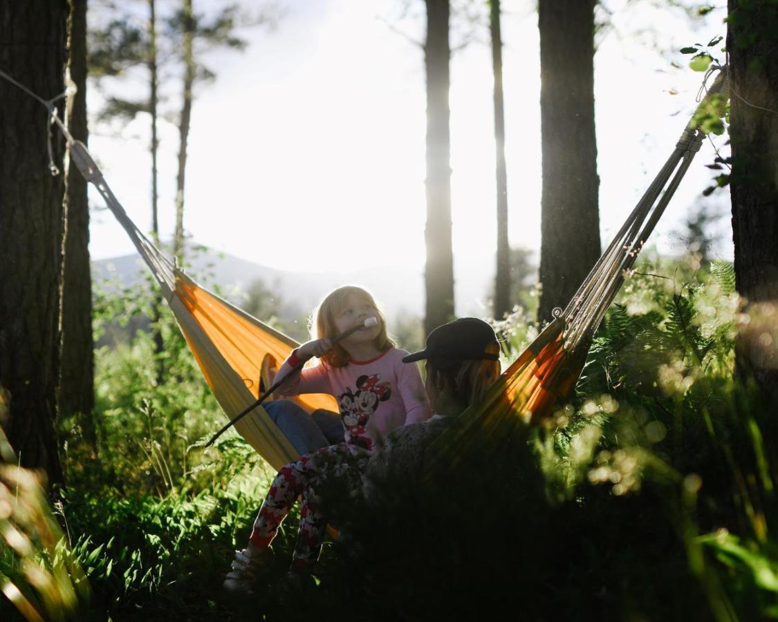 Breiva Gjestegaard Og Glamping Бё Экстерьер фото