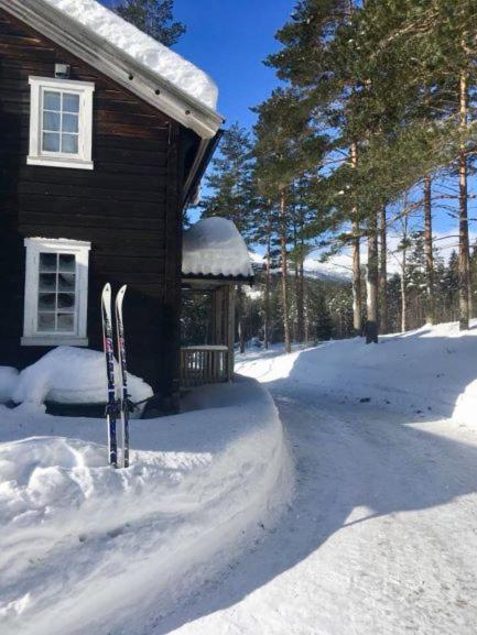 Breiva Gjestegaard Og Glamping Бё Экстерьер фото