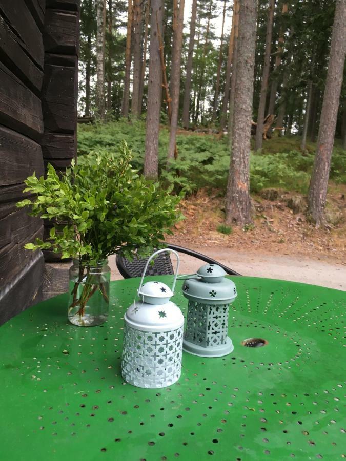 Breiva Gjestegaard Og Glamping Бё Экстерьер фото